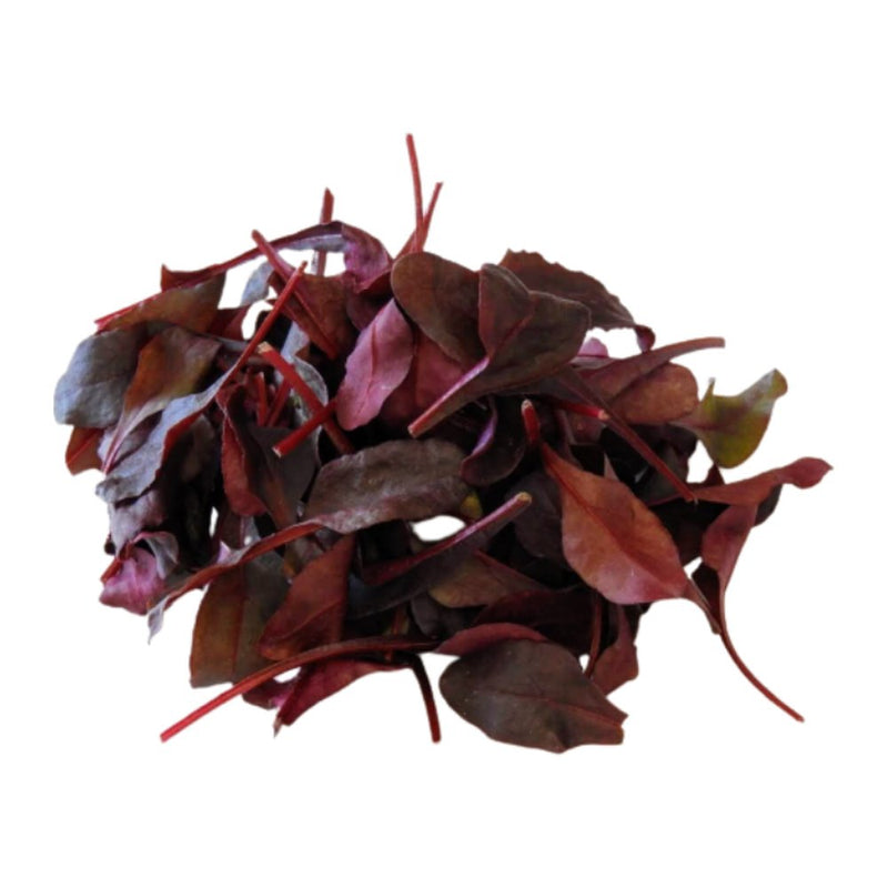 Jidan Bull Blood Lettuce, 100g