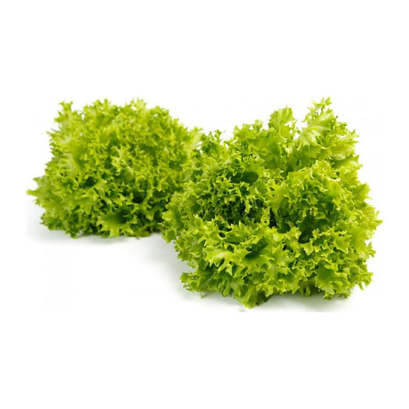 Jidan Cos Crispy Salanova Lettuce, 550g