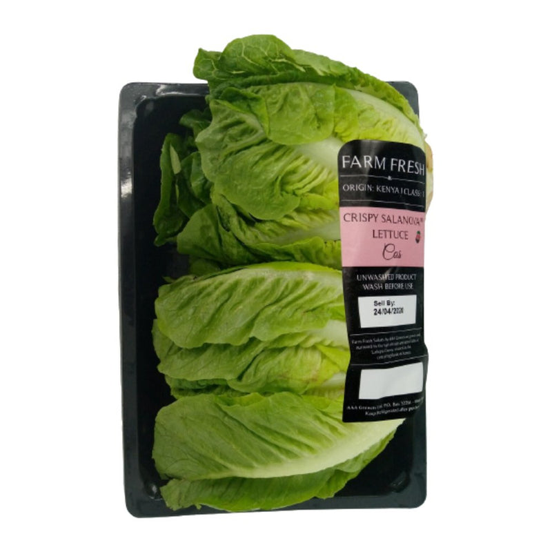 Soft Lettuce, 1pc