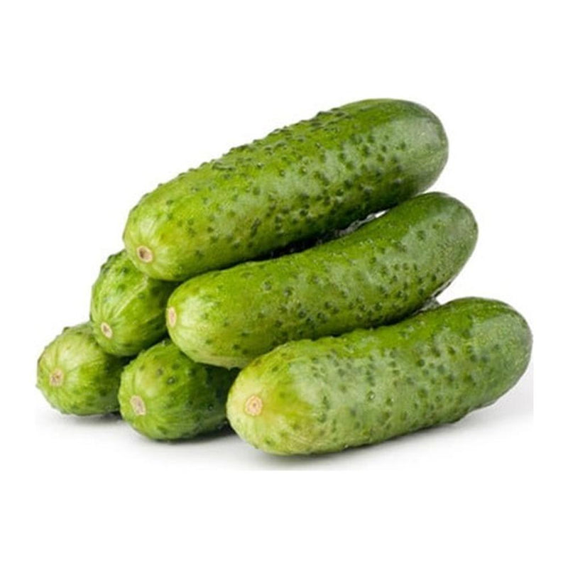 Jidan Local Cucumber, 500g