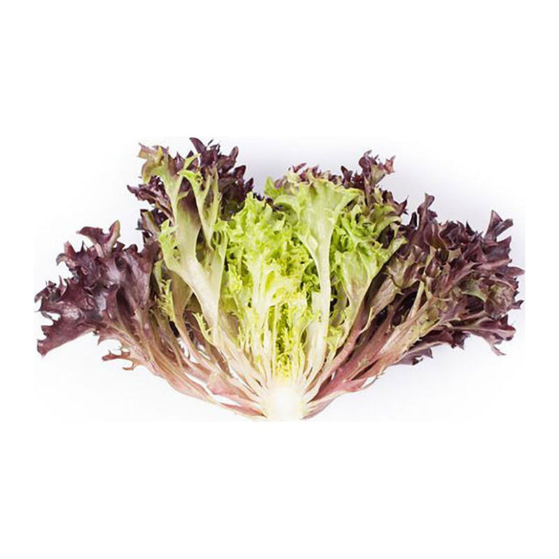 Jidan Red Crispy Salanova Lettuce, 720g