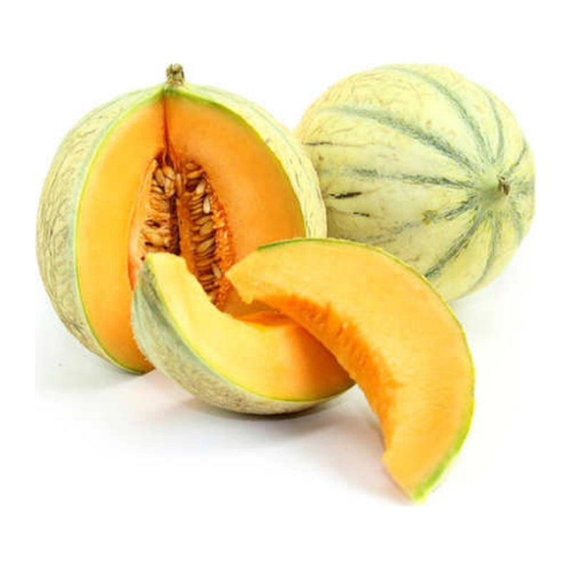 Jidan Chanteris Melon