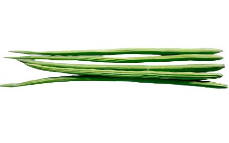 Jidan Drum Stick Saragwe