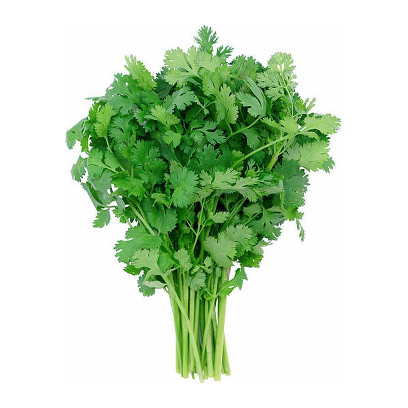 Jidan Corriander Bunch, 25g