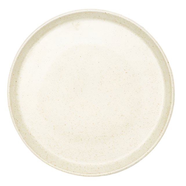 Ceramiqa Ceramic Dinner Platemint