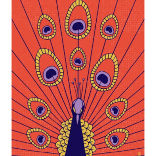 Lulu Kitololo Framed Print Peacock 8x10in