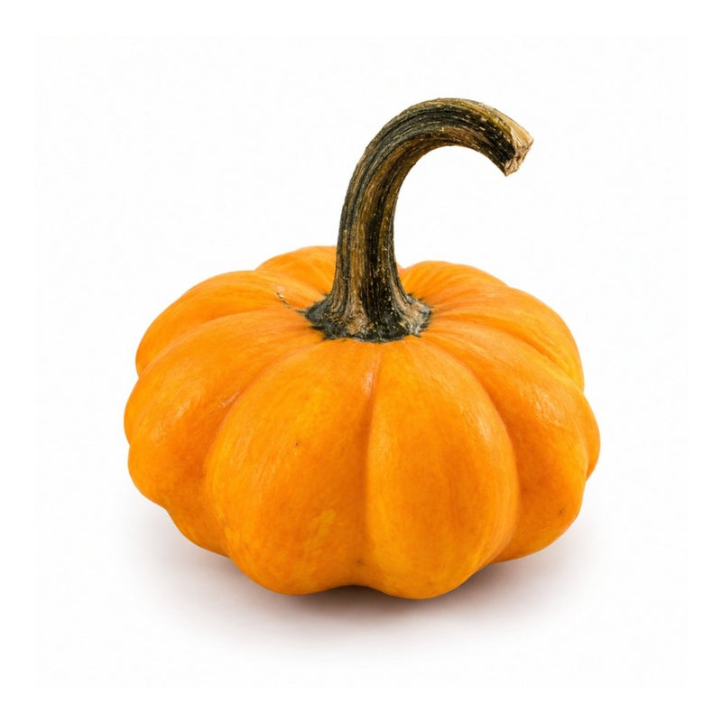 Halloween Mini Pumpkin