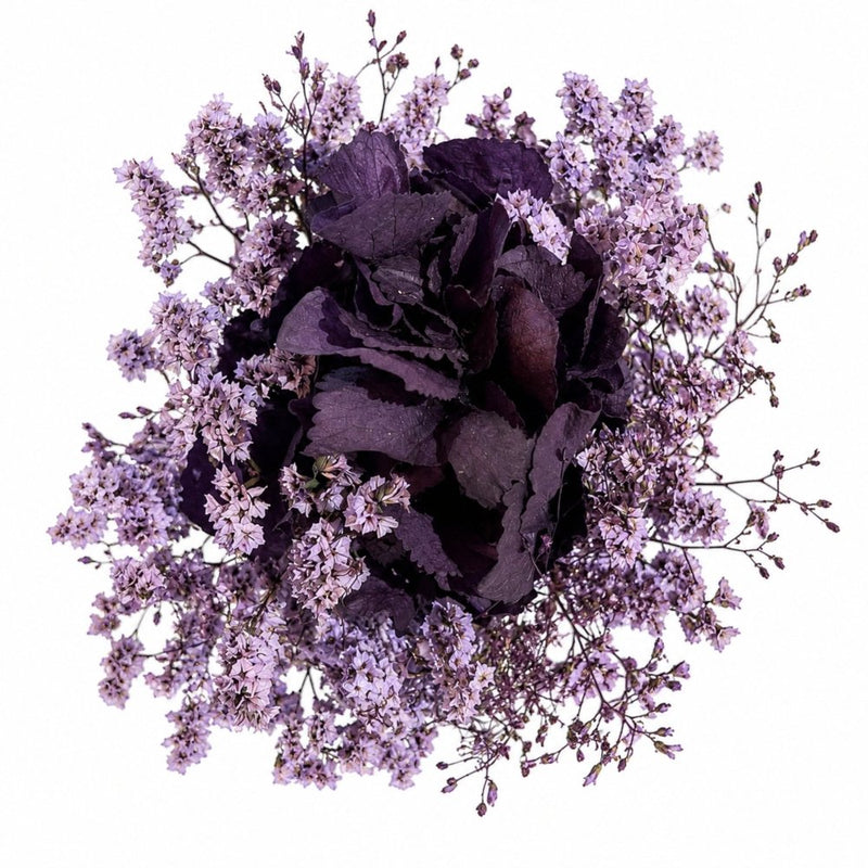 Vermont Adele Plum Purple Preserved Flowers