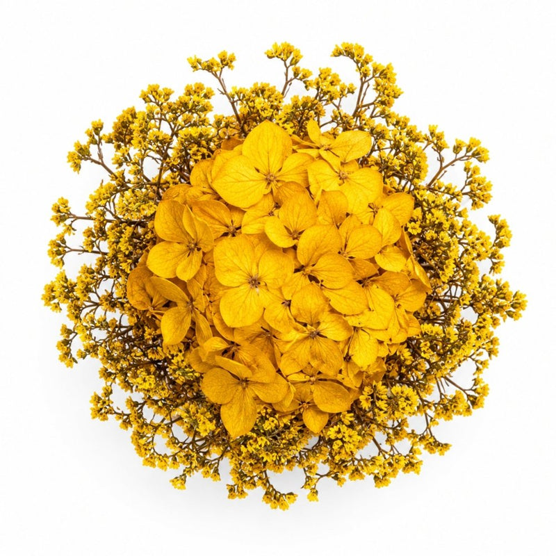 Vermont Hannah Golden Yellow Preserved Flowers