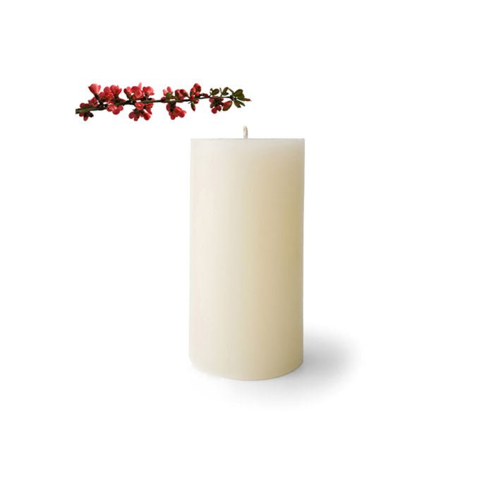 Wix And Wax Plain Champagne 9*3in