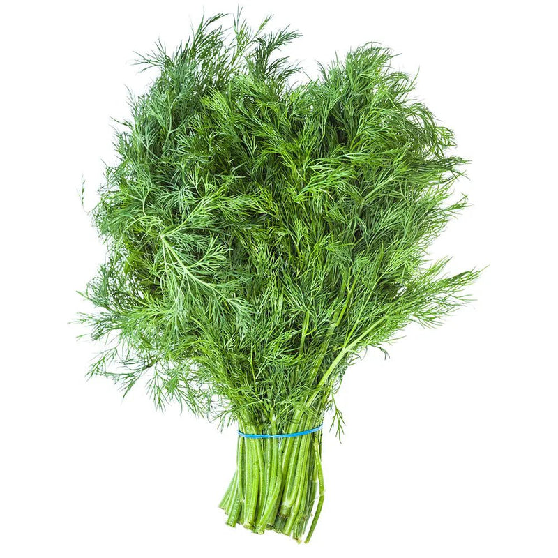 Jidan Dill Premium, 50g