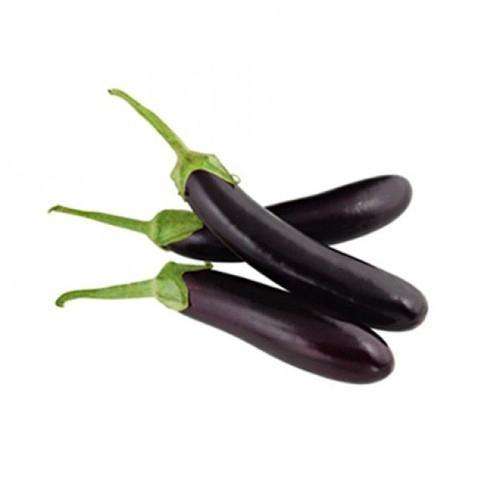 Jidan Long Aubergine