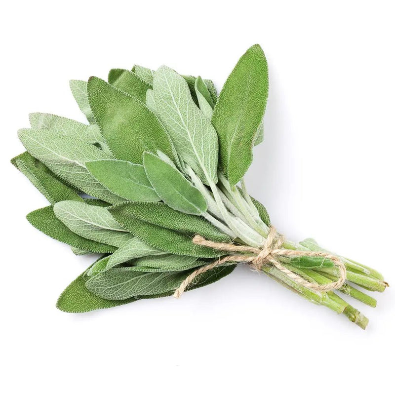 Jidan Sage Premium, 50g