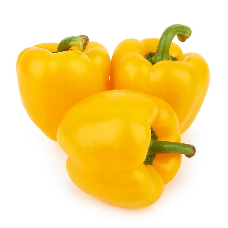 Jidan Capsicum Yellow, 500g