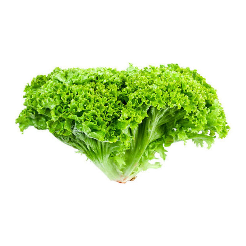 Jidan Blond Crispy Lettuce, 200g