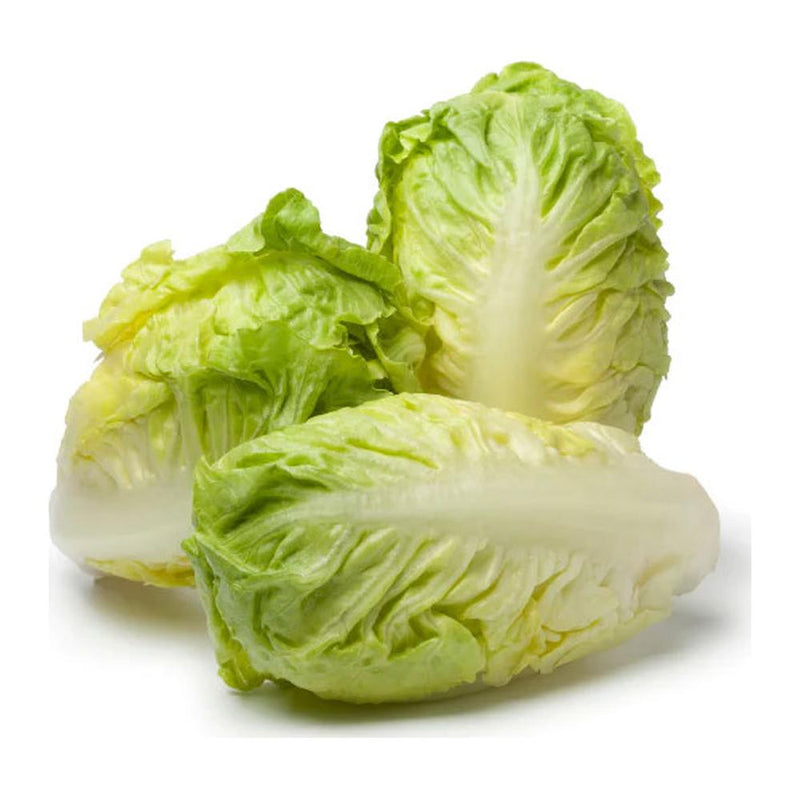 Jidan Little Gem Lettuce Per