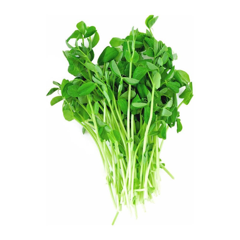 Microgreens Pak Choy, 50g