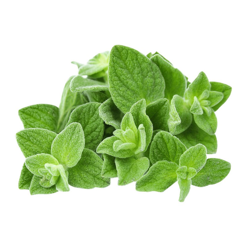 Fresh Oregano Leaves, 50g