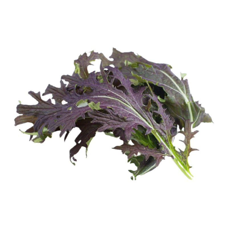 Jidan Red Mizuna, 100g