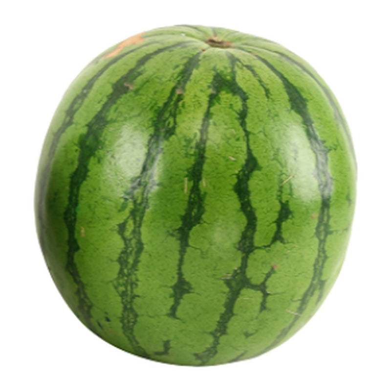 Jidan Watermelon