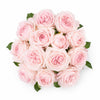 Tambuzi Blush Pink Scented Garden Roses