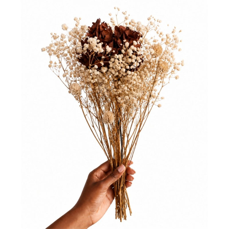 Vermont Claire Preserved Flowers