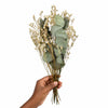 Vermont Elsa Sage Green Preserved Flowers