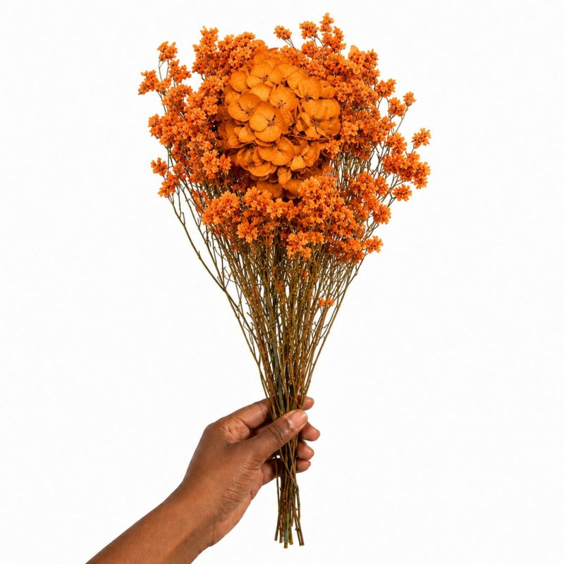 Vermont Coralle Orange Preserved Flowers