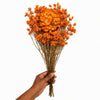 Vermont Coralle Orange Preserved Flowers
