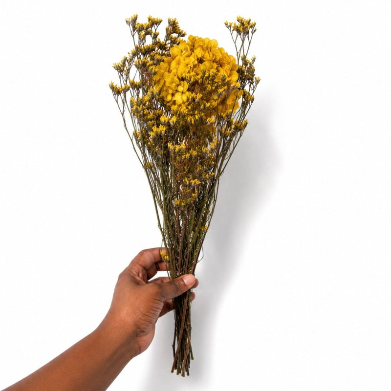 Vermont Hannah Golden Yellow Preserved Flowers