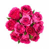 Tambuzi Hot Pink Scented Garden Roses