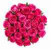 Tambuzi Hot Pink Scented Garden Roses