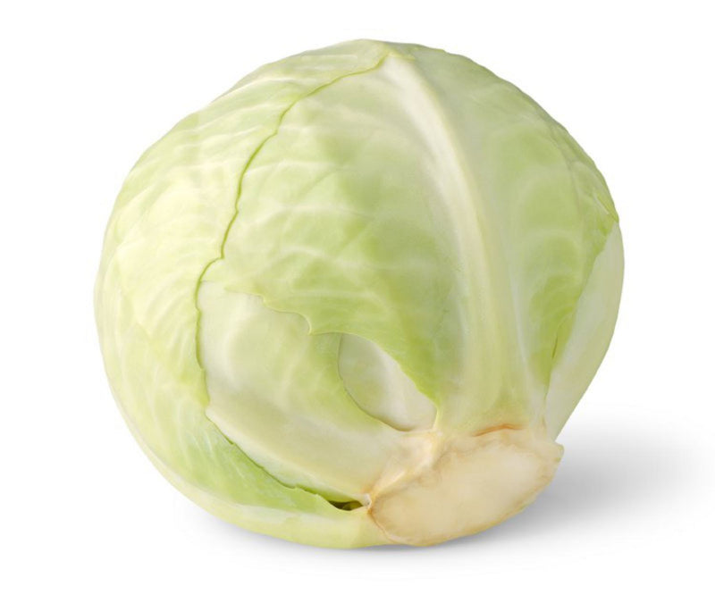 Jidan Cabbage White