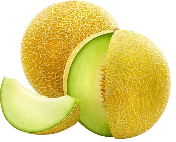 Jidan Melon Sweet