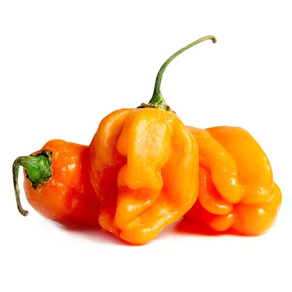 Habanero Chili, 1Kg