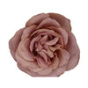 Tambuzi Scented Roses