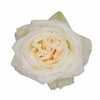 Tambuzi Scented Roses