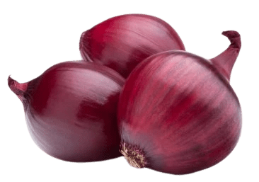 Jidan Farmers Pick Original Onion, 500g
