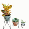 Table Stands A