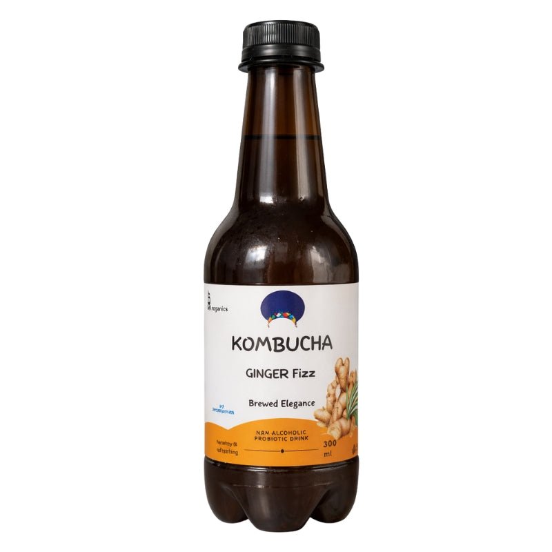 Amma Organics Ginger Fizz Kombucha, 300ml