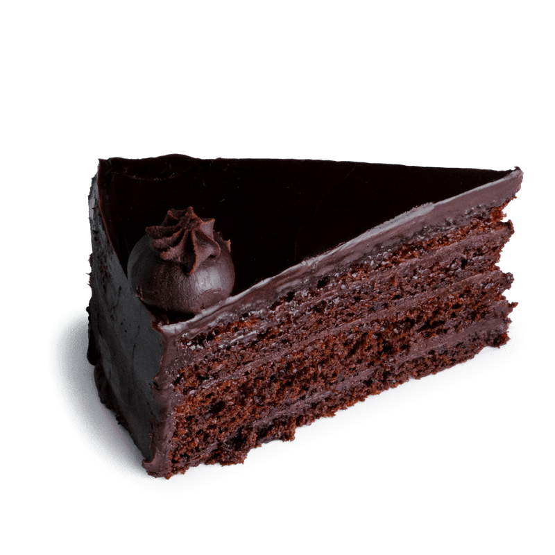 Chocolate Fudge Slice Cake