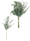 Bunch Of Eucalyptus