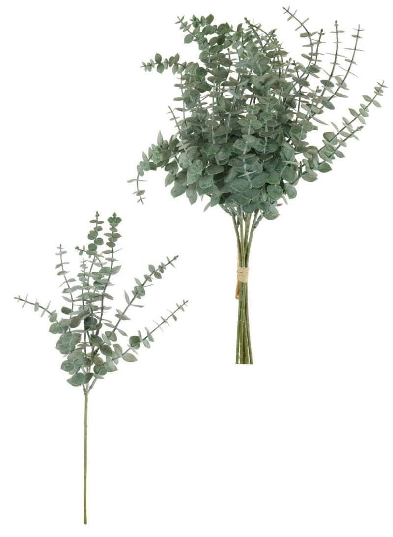 Bunch Of Eucalyptus