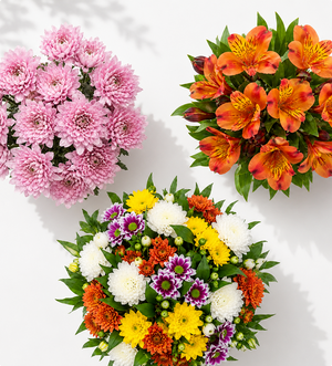 Flowers & Plants