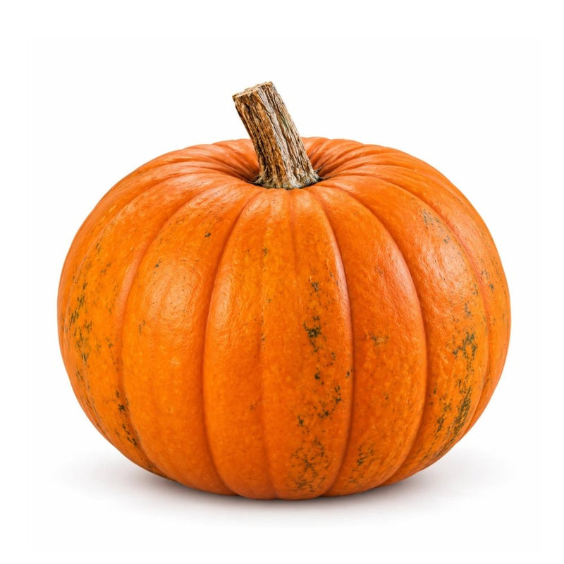 Halloween Classic Pumpkin
