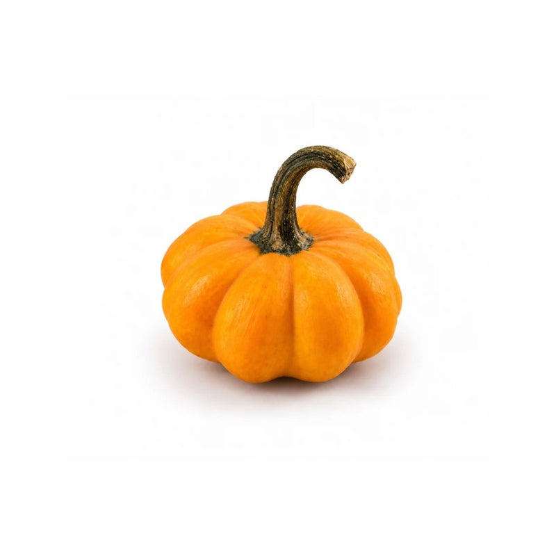 Halloween Extra Mini Pumpkin