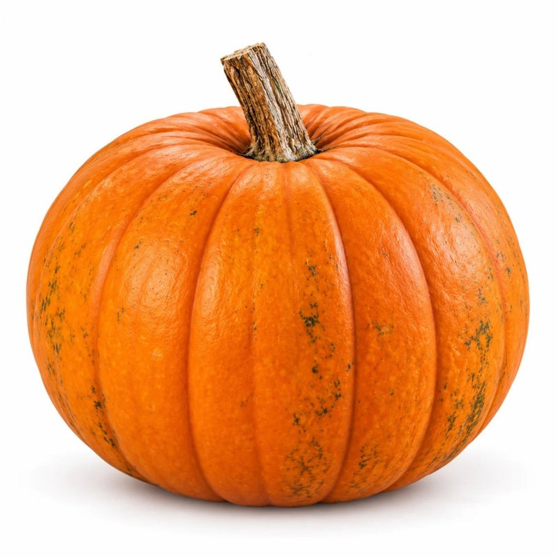 Halloween Jumbo Pumpkin