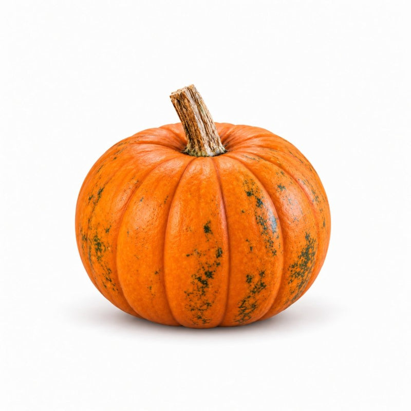 Halloween Petite Pumpkin
