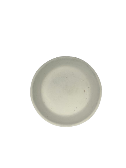 Painted Plate C