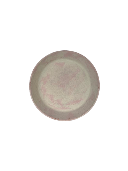 Painted Plate D